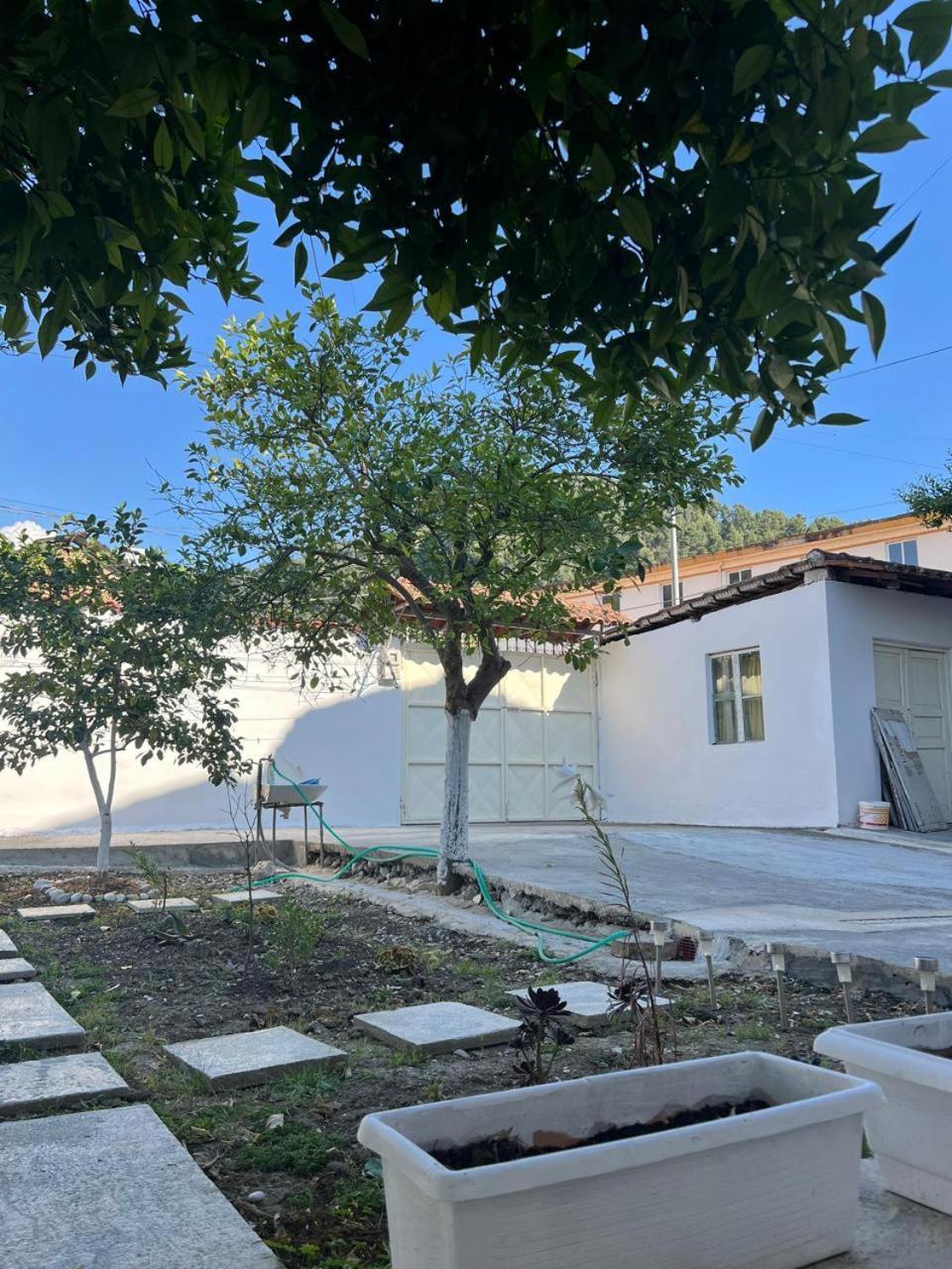 Berat Private Room In Haxhialiu Villa מראה חיצוני תמונה