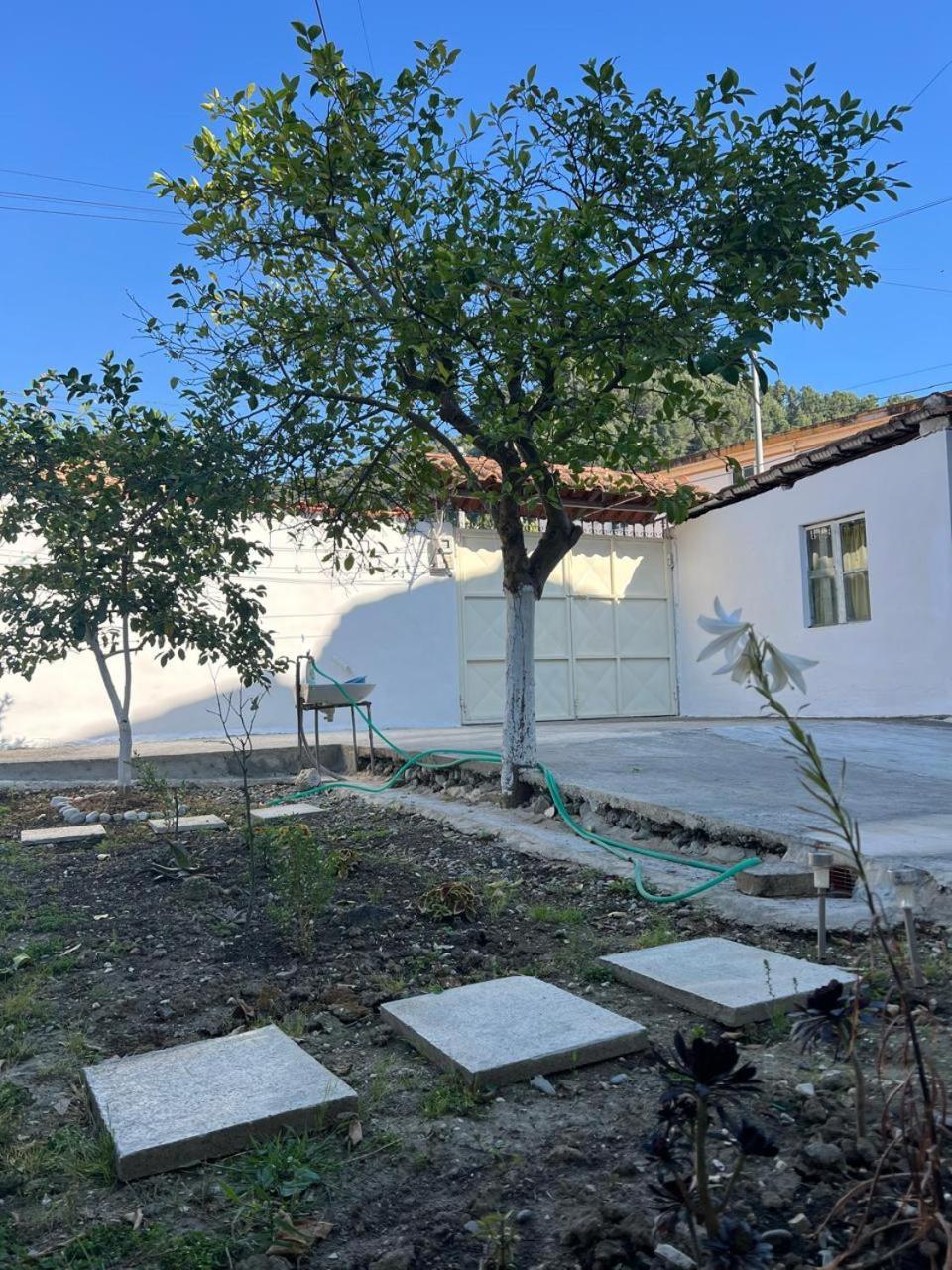 Berat Private Room In Haxhialiu Villa מראה חיצוני תמונה